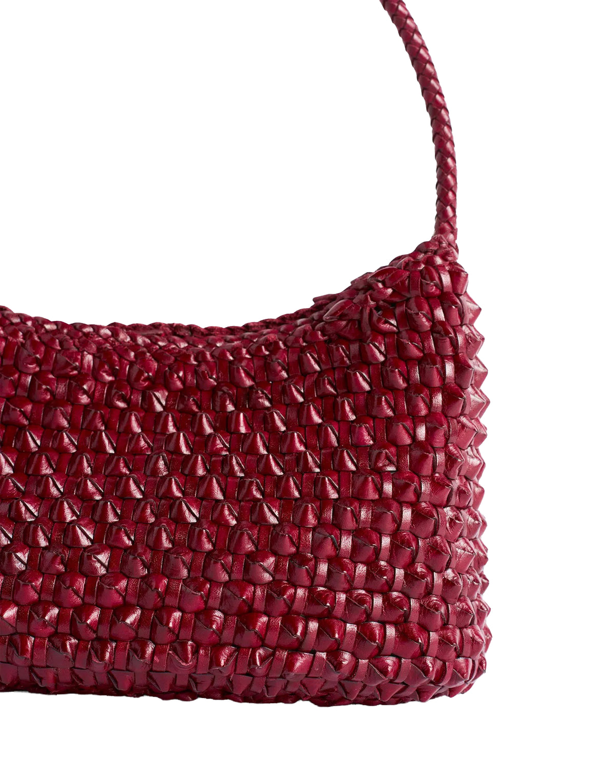 
8975 Basil Cactus – Burgundy
